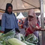 Badan Pangan Nasional