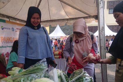 Badan Pangan Nasional